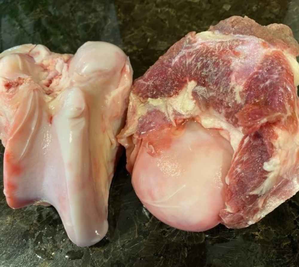 BISON KNUCKLE BONE / per lb.