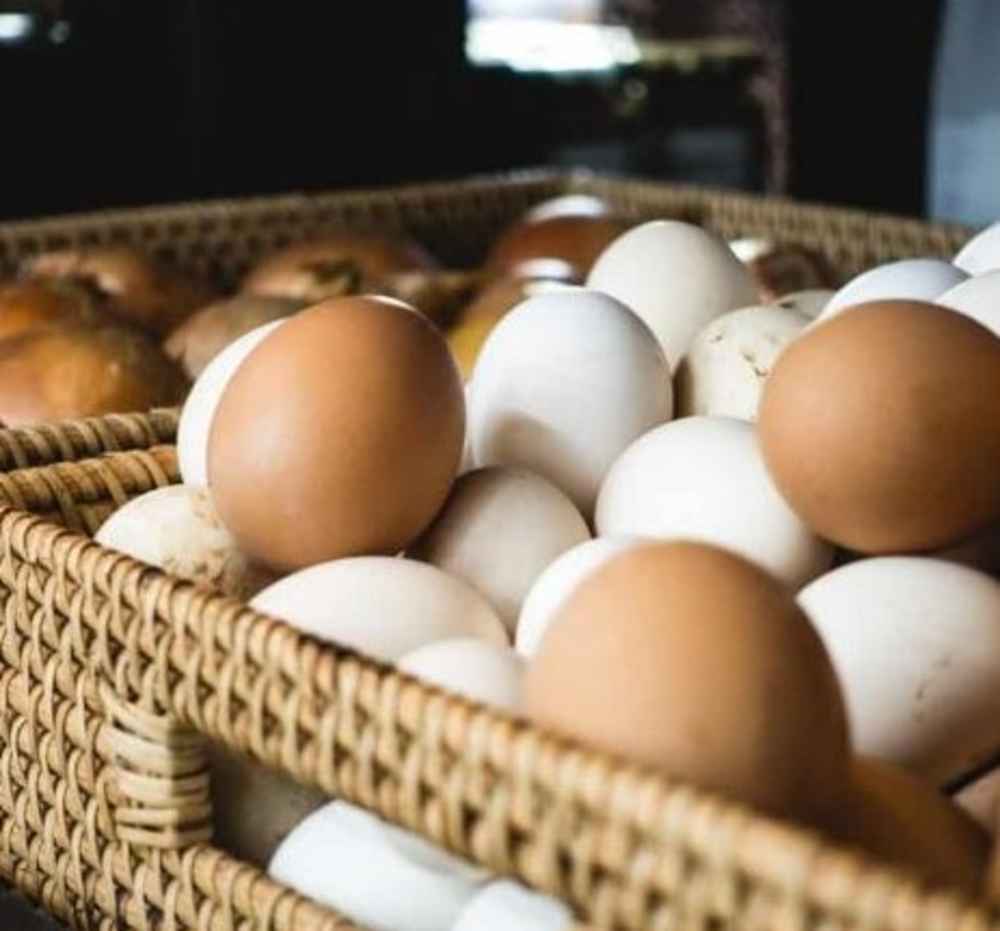 ONE DOZEN EGGS